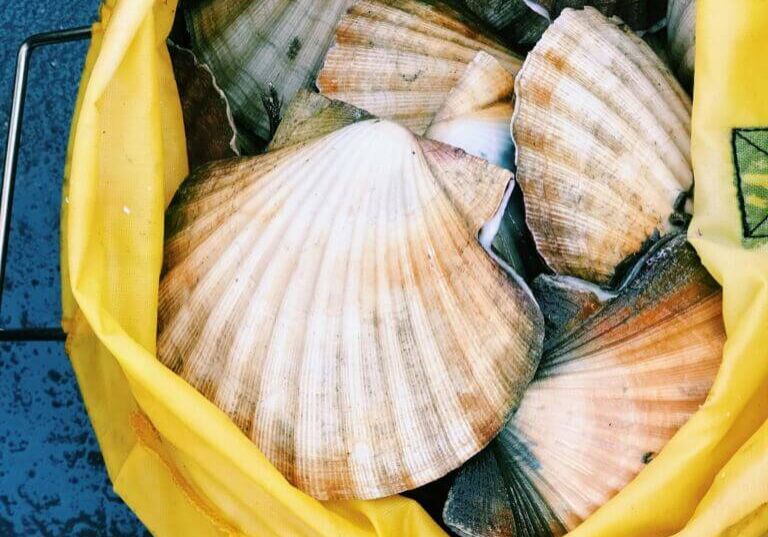 photo by Julie Aagaard